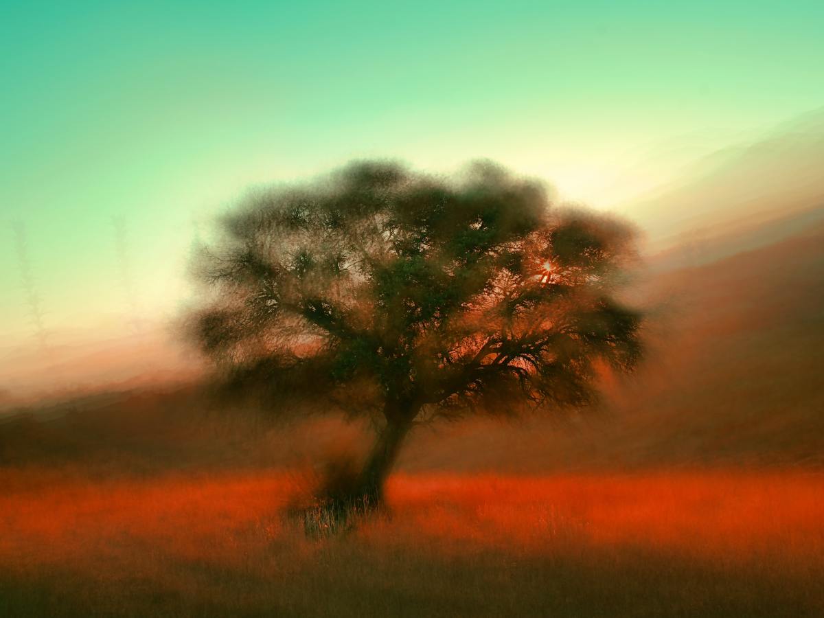 Hypnopompia: Between Sleep and Awake – Where Someone with Aphantasia May “See” Imagery